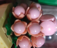 尚韻兒童多肉盆栽lE高積木花束拼裝玩具男孩女孩花盆生日禮物6-8-12歲 曬單實(shí)拍圖