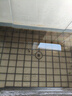 活體飼料魚(yú)麥穗魚(yú)小魚(yú)苗喂龍魚(yú)羅漢鱷龜開(kāi)口飼料魚(yú)淡水魚(yú)活魚(yú)包活 飼料魚(yú)1-2厘米30條送10%防損 曬單實(shí)拍圖