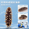鮮京采 黑金大連即食海參 618g每斤6-8只 固形物超85% 京東自營 海鮮 曬單實拍圖