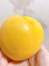 趣嘗鮮 蒙陰黃金蜜桃 凈重4.5斤 單枚150g起 新鮮毛桃 源頭直發(fā)一件包郵 曬單實(shí)拍圖