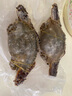 舟山梭子蟹鮮活特大野生大螃蟹新鮮冷凍海鮮水產(chǎn)海蟹飛蟹白蟹順豐 9兩以上/只【5斤凈重 超大肥美】 曬單實(shí)拍圖