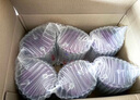 a2奶粉 澳洲紫白金版 幼兒配方牛奶粉 3段900g 【原箱6罐】3段-1歲以上 曬單實拍圖