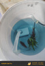 森森魚(yú)缸水泵小型小水泵潛水泵水循環(huán)魚(yú)缸過(guò)濾泵抽水泵迷你潛水泵 XQP-2500 40W水泵可調流量+1米水管 曬單實(shí)拍圖
