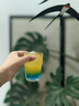 奧美加（OLMECA）銀標龍舌蘭酒 特其拉酒 墨西哥進口 調酒基酒 700ml  曬單實拍圖