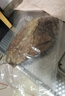 憨憨樂園 大片欖仁葉水族箱天然降低魚缸PH值降酸調(diào)節(jié)改善水質(zhì)懶人葉 曬單實(shí)拍圖