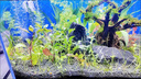USB魚(yú)缸養魚(yú)超靜音家用增氧泵小型便攜戶(hù)外釣魚(yú)氧氣泵可接充電寶 黑色單管大氣量 曬單實(shí)拍圖