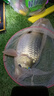 巨鰭王紡車輪全金屬遠(yuǎn)投專用路亞漁輪正品釣魚輪子海竿海桿磯釣魚輪大全 全金屬7000型【同款發(fā)2個(gè)】 曬單實(shí)拍圖