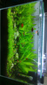 沐魚(yú)山東建設co水草缸二氧化碳魚(yú)缸鋼瓶氣瓶套裝可充氣式牧梵減壓表閥 4L鋼瓶套裝C 曬單實(shí)拍圖