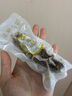 參萌海參大連精選鮮蒸即食海參·3年+足齡遼刺參·滋補(bǔ)禮盒可送禮物鮮活 精選版·日用推薦（9-11頭）熱賣(mài) 鮮蒸即食海參1斤裝 曬單實(shí)拍圖