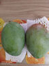 都樂(lè)Dole 國(guó)產(chǎn)芒果 凱特芒 【非樹(shù)熟 需催熟】產(chǎn)地直采 擁抱陽(yáng)光 4.5斤裝 單果400g-600g 曬單實(shí)拍圖