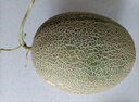 京鮮生 哈密瓜西州蜜25號 凈重6-7斤1-2粒裝 中秋禮品源頭直發(fā)包郵 曬單實(shí)拍圖
