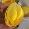 優(yōu)味集【JD順豐】蛋黃果新鮮雞蛋果水果云南熱帶生鮮果應季特產(chǎn)軟糯香甜 凈重500g精品大果（單果100-150g） 曬單實(shí)拍圖