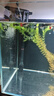 AMTRA TECHNIK德國(guó)安彩壁掛過濾器ex650魚缸過濾器烏龜?shù)退粌羲o音 EX650 除油膜版【內(nèi)含濾材】濾材套餐 曬單實(shí)拍圖