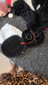JBL TUNE520BT頭戴式無(wú)線藍(lán)牙耳機(jī)HiFi重低音游戲通話可折疊耳麥禮物 黑色 曬單實(shí)拍圖