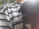 中牧四聯(lián)犬疫苗狗狗幼犬套餐針小狗疫苗四聯(lián)幼犬狗狗疫苗全套自打狂犬 【幼犬首次】四聯(lián)3針+狂犬1針 曬單實拍圖
