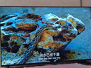海爾【小紅花電視-綻放版】55H5C 55英寸144Hz高刷全面屏3+32G超薄游戲4K平板電視一級(jí)換新國(guó)家補(bǔ)貼20% 曬單實(shí)拍圖