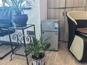 奧克斯小冰箱家用小型迷你冷藏冷凍兩用出租房宿舍用節(jié)能省電寢室辦公室電冰箱 【熱賣款 升級(jí)凈化去味】22A126DW銀 曬單實(shí)拍圖
