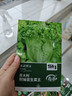 壽禾 蔬菜種子套裝大全秋冬季白菜蘿卜大蔥菠菜香菜 13種蔬菜種子大全 曬單實(shí)拍圖