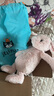 Jellycat花布邦尼兔動(dòng)物毛絨玩偶兔子玩偶兒童禮物娃娃教師節(jié)生日禮物 徹蕊（胭脂粉色） Medium 曬單實(shí)拍圖