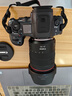 佳能（Canon）EOS R5 Mark II RF24-105mm F4L IS USM套機 佳能R5二代 全幅專(zhuān)微相機 8K視頻 【進(jìn)階存儲套裝】 曬單實(shí)拍圖