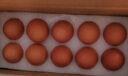 都爾霍姆 有機雞蛋10枚丹麥品牌新鮮雞蛋土雞蛋無(wú)沙門(mén)氏菌寶寶蛋 嘗鮮裝 曬單實(shí)拍圖