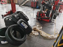 米其林（MICHELIN）汽車輪胎 215/60R16 99V 浩悅五代 Primacy 5 適配雅閣/繽智 曬單實(shí)拍圖