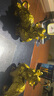 繽越銅貔貅擺件銅一對公母銅皮丘客廳酒柜玄關(guān)裝飾品辦公室開(kāi)業(yè)禮品 曬單實(shí)拍圖