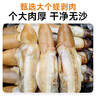 靈略 去殼去沙新鮮大號蟶子肉 花甲 花蛤 蛤蜊海鮮凈重2斤生鮮 貝類(lèi) 曬單實(shí)拍圖