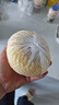京覓 萊陽梨 5斤裝 單果300g 新鮮水果 生鮮團購 源頭直發(fā)包郵 曬單實拍圖