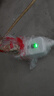 公牛（BULL）漏電保護器插頭10A熱水器空調(diào)防漏電插頭轉(zhuǎn)換器 漏電保護轉(zhuǎn)換器10A 即插即用GN-711總控開關(guān) 曬單實拍圖
