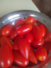 【超市品質(zhì)】新鮮水果圣女果小番茄孕婦兒童即食零食生鮮水果 帶箱 1斤 紅色圣女果 曬單實拍圖