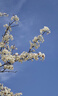 科森拓 索尼帶麥克風(fēng)耳機線(xiàn)WH1000XM3/2/4連接線(xiàn)控3.5mm語(yǔ)音MDR100AH7 h900n頭戴1a連電腦手機音頻線(xiàn)升級 無(wú)損音質(zhì)丨金屬頭丨麥克風(fēng)線(xiàn)控丨1.5米 曬單實(shí)拍圖