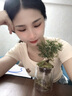放青松夜間小夜燈床頭臥室睡眠燈客廳創(chuàng)意氛圍感擺件男女生日禮物 有光青年【真綠植盆栽擺件】插電 曬單實(shí)拍圖