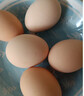 胖東來(lái)同款品質(zhì)土雞蛋正宗農家散養40枚農村林下笨自養草生柴代購 40枚 35-40克 曬單實(shí)拍圖