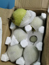 正宗雪梨河北雪花梨梨子批發(fā)10斤冰糖雪梨新鮮水果當季水果3斤5斤 特級雪梨凈重9斤 曬單實拍圖