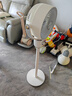 艾美特（AIRMATE）【小暴風(fēng)】空氣循環(huán)扇大風(fēng)量搖頭電風(fēng)扇家用臺式落地扇升級加高換氣輕音柔風(fēng)小風(fēng)扇 FA18-X115 曬單實(shí)拍圖