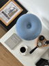 Artemide/阿特米德Nessino臺燈意大利進(jìn)口蘑菇燈臥室床頭燈書(shū)房客廳燈禮物 淺藍色 小號【贈燈源】 曬單實(shí)拍圖