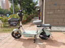 飛鴿E75智能電動(dòng)自行車45公里長(zhǎng)續(xù)航電動(dòng)車鉛酸電池48V12Ah電瓶車國(guó)標(biāo)上班代步小電驢禮物源彩青竹綠 曬單實(shí)拍圖