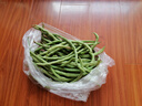 新鮮現(xiàn)摘四季豆角農(nóng)家蔬菜九月青油豆角整箱蔬菜生鮮源頭直發(fā) 云南四季豆新鮮現(xiàn)摘【凈重1斤】 曬單實拍圖