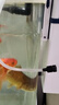森森（SUNSUN）魚(yú)缸過(guò)濾器壁掛過(guò)濾桶外掛式凈水循環(huán)系統 【魚(yú)便收集】8W過(guò)濾器+濾材+排污套餐 曬單實(shí)拍圖