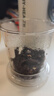 雅集筑茗玻璃茶杯茶水分離玻璃杯帶蓋帶玻璃內膽辦公家用耐熱泡茶杯 曬單實(shí)拍圖