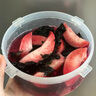 紫蘇盆栽葉可食用紫蘇苗香料秧苗陽(yáng)臺四季庭院紫蘇盆栽帶土帶葉 紫蘇小盆(葉子少) 不帶原盆（土球發(fā)貨） 曬單實(shí)拍圖
