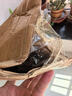 大型觀(guān)賞荷花種藕苗 蓮藕種苗 盆栽荷花種根苗荷花苗蓮藕苗蓮花苗 家庭種植藕【適合花盆缸桶】 三顆裝【帶芽發(fā)貨】 曬單實(shí)拍圖