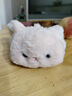 可愛(ài)趴姿掌中偶毛絨玩具桌面手腕拖墊玩偶桌伴娃娃鼠標手腕腕寶 掌中偶手腕墊—兔子 【版型正 現貨秒發(fā)】 曬單實(shí)拍圖
