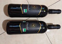 翡馬（BORDEAUXVINEAM）金釀?dòng)袡C干紅葡萄酒 750ml 單瓶裝 法國進(jìn)口紅酒 中秋節禮物 曬單實(shí)拍圖