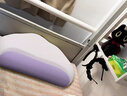德國枕頭護頸枕睡眠頸椎病深度睡眠專用成人側睡枕記憶棉枕芯 舒睡【熏衣紫】-  一只裝 A類 單只 曬單實拍圖