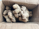 京鮮生 云南小黃姜 凈重3斤 生姜 老姜 新鮮蔬菜調味 源頭直發(fā)包郵  曬單實(shí)拍圖