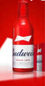 百威BUDWEISER/百威啤酒 玲瓏紅鋁瓶 經(jīng)典紅鋁 蘇超看球 百威 355mL 24瓶 整箱裝 曬單實(shí)拍圖