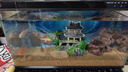 HANYANG魚(yú)缸底砂黃金沙水草南美雨淋化妝細沙免洗龜缸水族養魚(yú)造景2kg 曬單實(shí)拍圖
