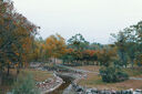 松下S9（18-40mm F4.5-6.3）套機（Panasonic） 全畫(huà)幅微單 實(shí)時(shí)Lut 濾鏡直出 連接app極速分享-橙 曬單實(shí)拍圖